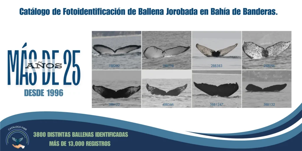 MásDe25AñosCatálogo_1920x960