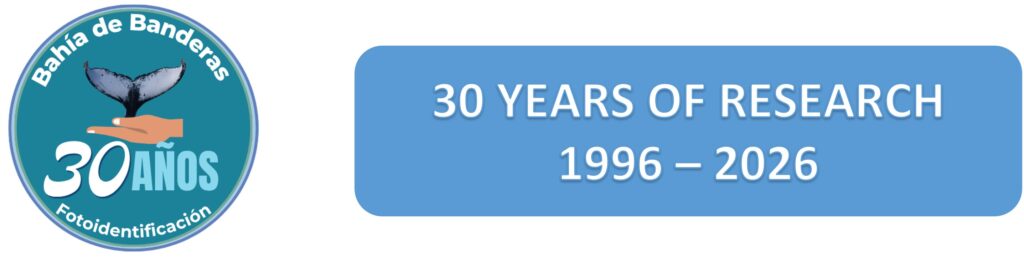 30 años