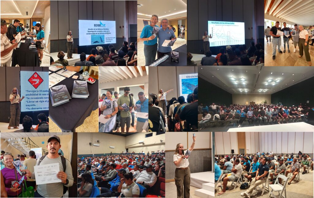 Fotos collage presentación
