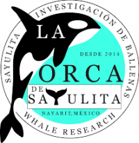 La Orca de Sayulita